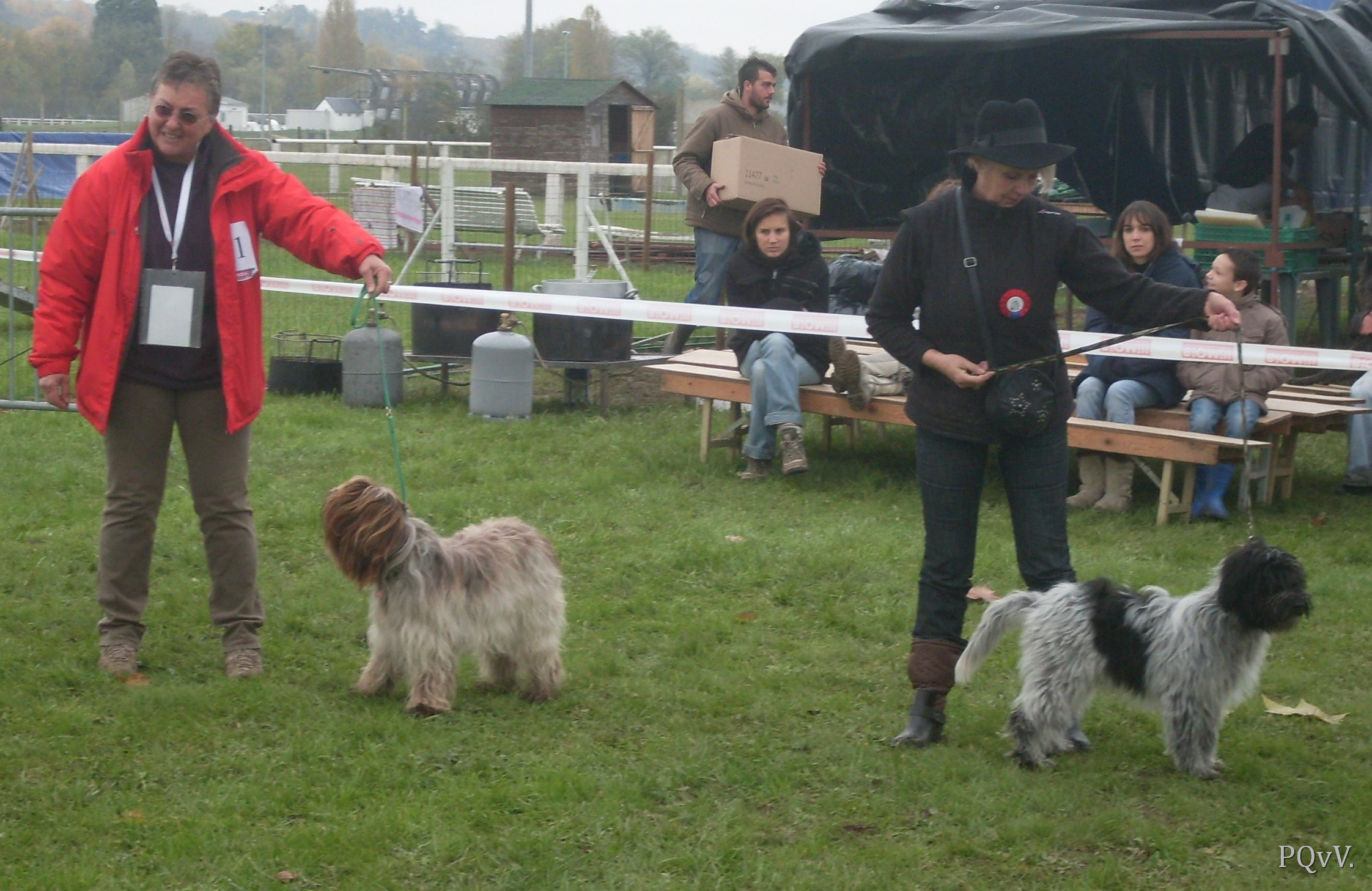 meilleur femelle et male, Goyave et Hellinger 